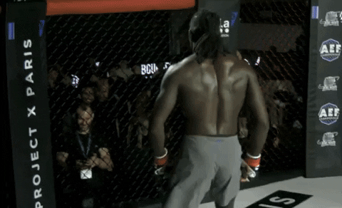 MMA Fighter