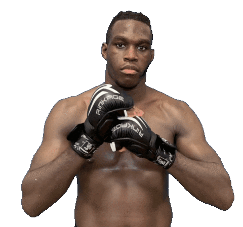 MMA Sticker